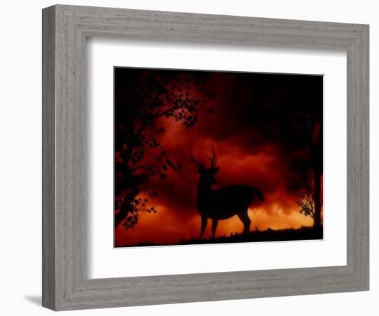 Nature's Morning-Julie Fain-Framed Art Print