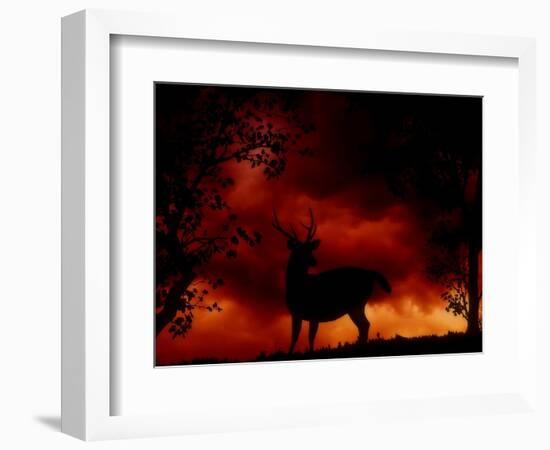 Nature's Morning-Julie Fain-Framed Art Print