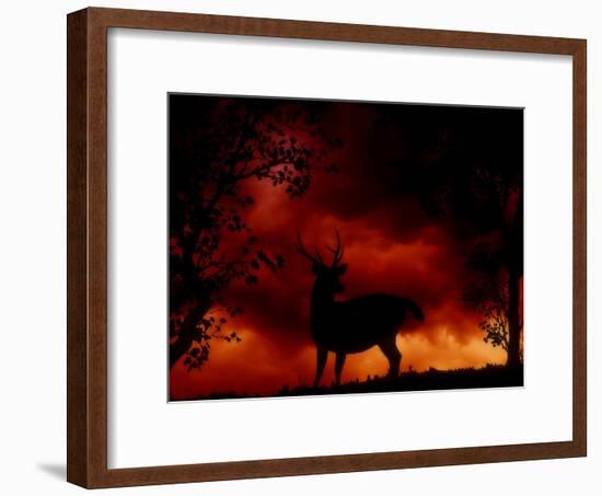 Nature's Morning-Julie Fain-Framed Art Print