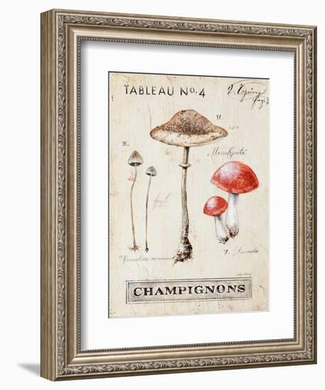 Nature's Mushrooms-Angela Staehling-Framed Art Print