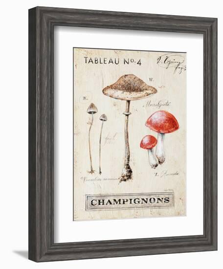 Nature's Mushrooms-Angela Staehling-Framed Art Print