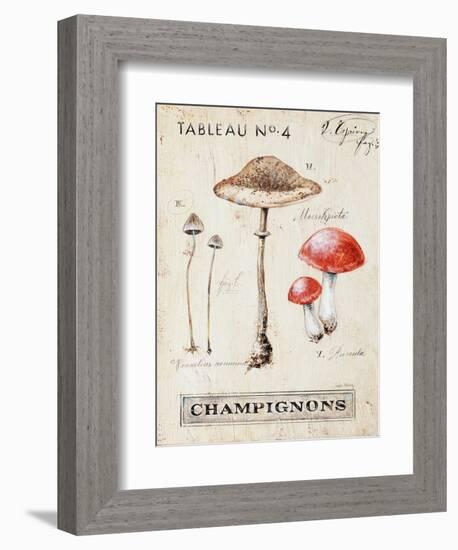 Nature's Mushrooms-Angela Staehling-Framed Art Print