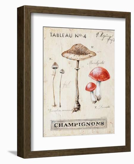 Nature's Mushrooms-Angela Staehling-Framed Art Print