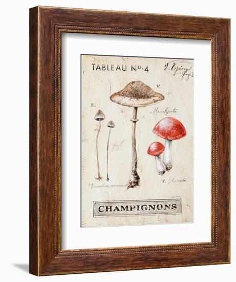 Nature's Mushrooms-Angela Staehling-Framed Art Print