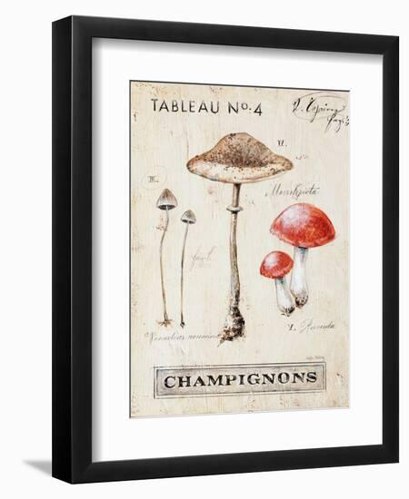 Nature's Mushrooms-Angela Staehling-Framed Art Print