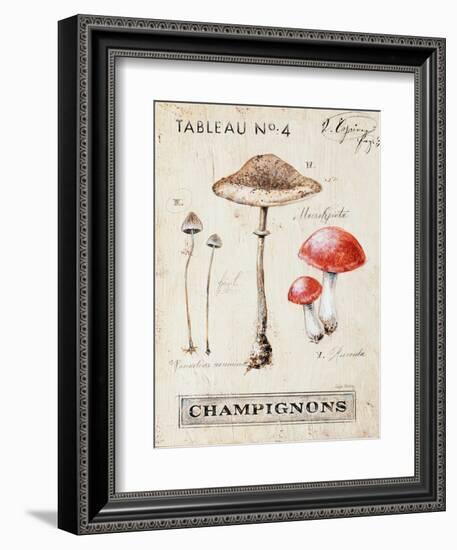 Nature's Mushrooms-Angela Staehling-Framed Art Print