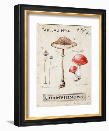 Nature's Mushrooms-Angela Staehling-Framed Art Print