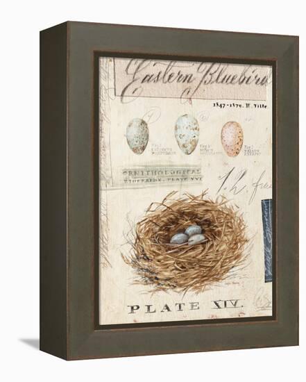 Nature's Nest-Angela Staehling-Framed Stretched Canvas