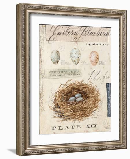 Nature's Nest-Angela Staehling-Framed Art Print
