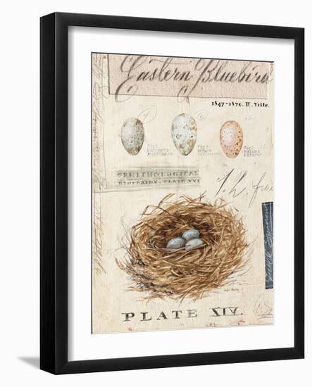 Nature's Nest-Angela Staehling-Framed Art Print