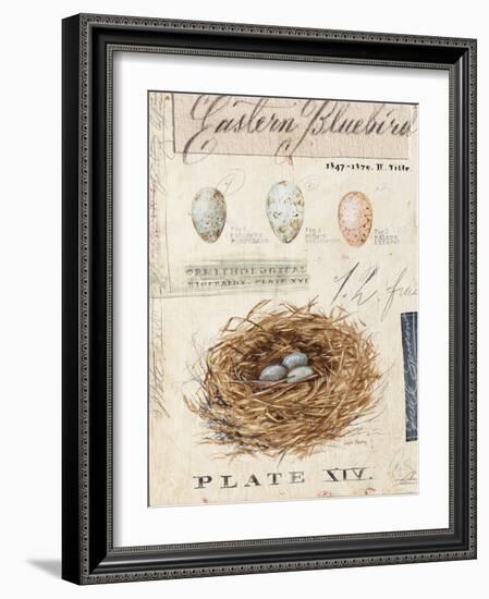 Nature's Nest-Angela Staehling-Framed Art Print