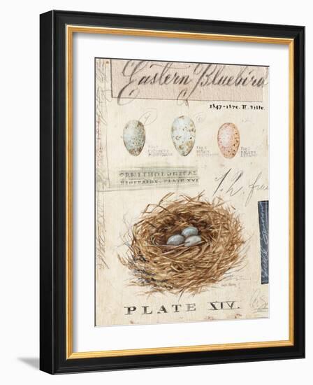 Nature's Nest-Angela Staehling-Framed Art Print