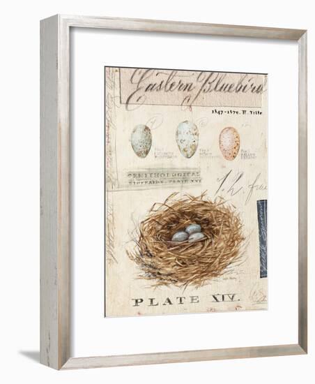 Nature's Nest-Angela Staehling-Framed Art Print