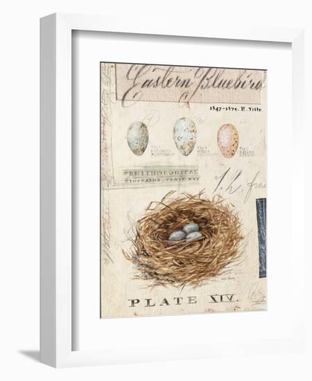 Nature's Nest-Angela Staehling-Framed Art Print