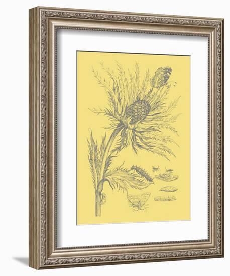 Nature's Optimism I-Vision Studio-Framed Art Print