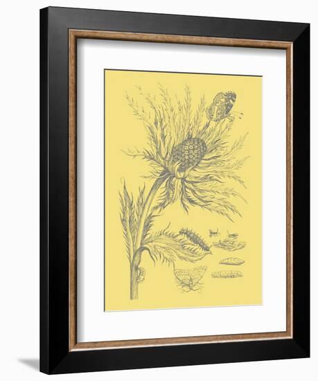 Nature's Optimism I-Vision Studio-Framed Art Print