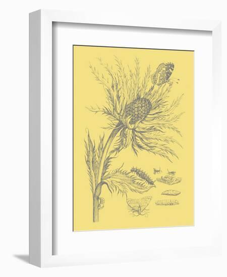 Nature's Optimism I-Vision Studio-Framed Art Print