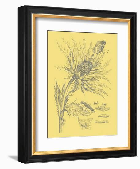 Nature's Optimism I-Vision Studio-Framed Art Print