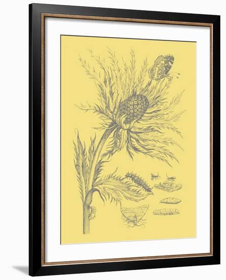 Nature's Optimism I-Vision Studio-Framed Art Print