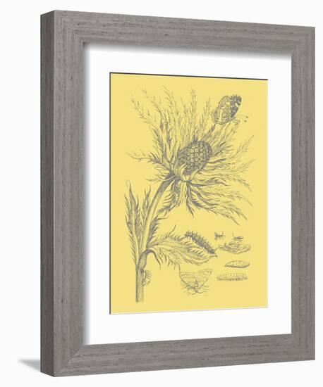 Nature's Optimism I-Vision Studio-Framed Premium Giclee Print