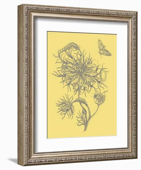 Nature's Optimism II-Vision Studio-Framed Premium Giclee Print