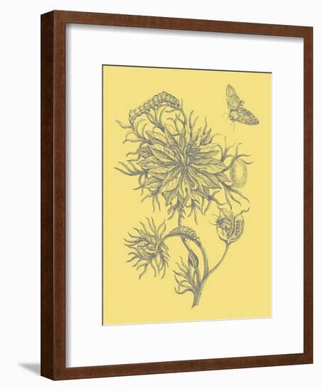 Nature's Optimism II-Vision Studio-Framed Art Print