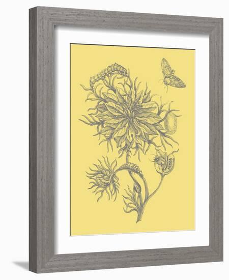 Nature's Optimism II-Vision Studio-Framed Art Print