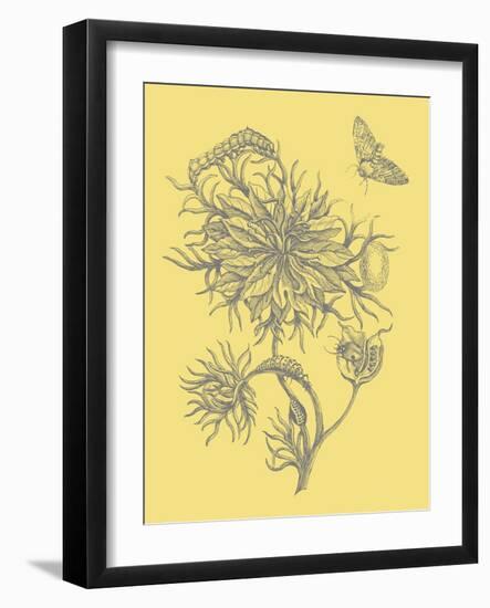 Nature's Optimism II-Vision Studio-Framed Art Print