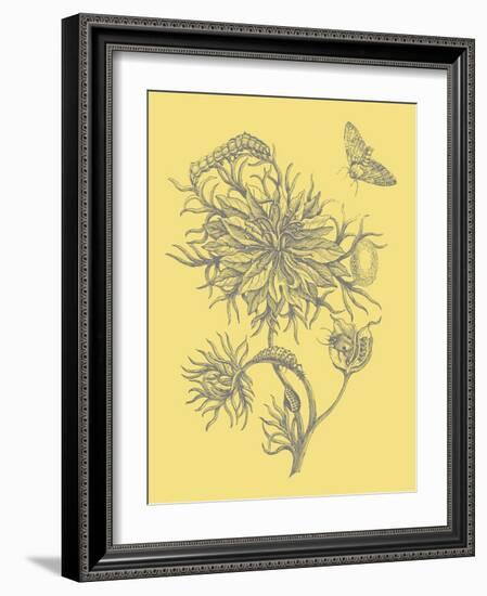 Nature's Optimism II-Vision Studio-Framed Art Print