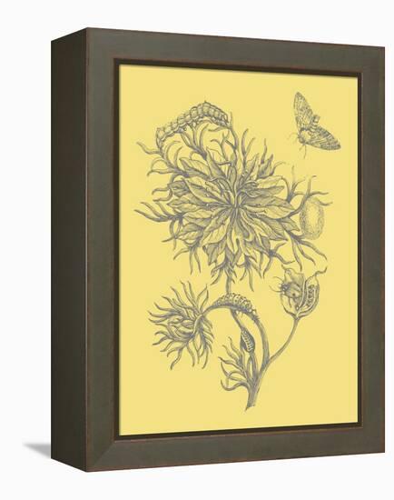 Nature's Optimism II-Vision Studio-Framed Stretched Canvas