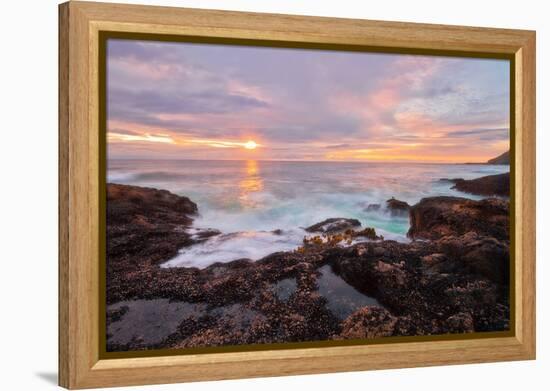 Nature’s Palette-Natalie Mikaels-Framed Premier Image Canvas