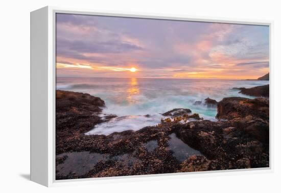 Nature’s Palette-Natalie Mikaels-Framed Premier Image Canvas