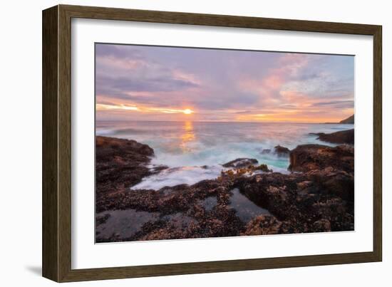 Nature’s Palette-Natalie Mikaels-Framed Photographic Print