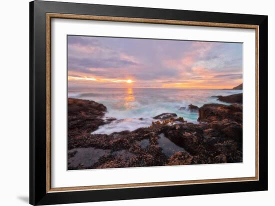 Nature’s Palette-Natalie Mikaels-Framed Photographic Print