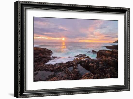 Nature’s Palette-Natalie Mikaels-Framed Photographic Print