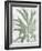 Nature's Palm 1 V2-Denise Brown-Framed Art Print