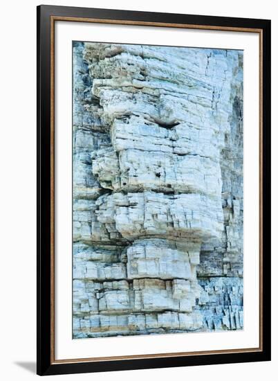 Nature's Pattern-Irene Suchocki-Framed Giclee Print