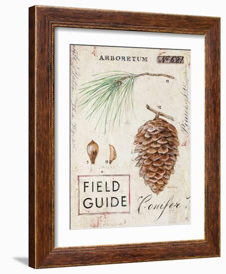 Nature's Pinecone-Angela Staehling-Framed Art Print