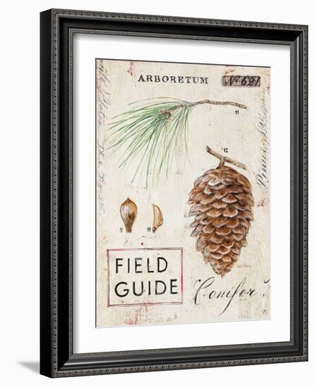 Nature's Pinecone-Angela Staehling-Framed Art Print