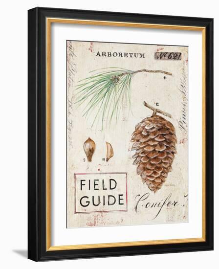 Nature's Pinecone-Angela Staehling-Framed Art Print