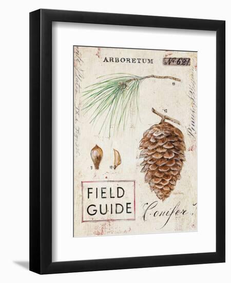 Nature's Pinecone-Angela Staehling-Framed Art Print