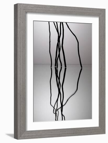 Nature's Reflections II-Monika Burkhart-Framed Photographic Print