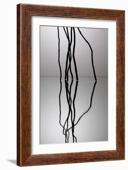 Nature's Reflections II-Monika Burkhart-Framed Photographic Print