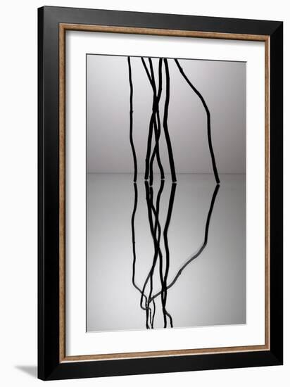 Nature's Reflections II-Monika Burkhart-Framed Photographic Print