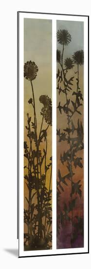 Nature's Shadow Diptych-Hollack-Mounted Giclee Print