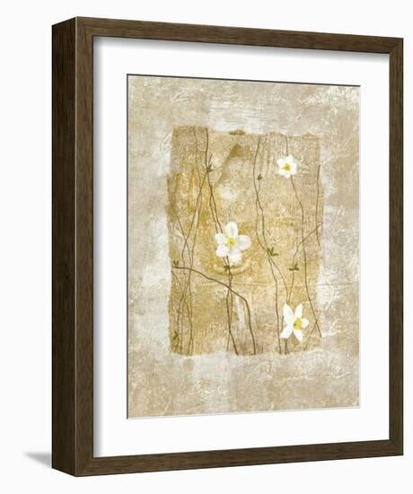 Nature's Story I-Fernando Leal-Framed Art Print