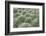 Nature's Textures III-Renée Stramel-Framed Photographic Print