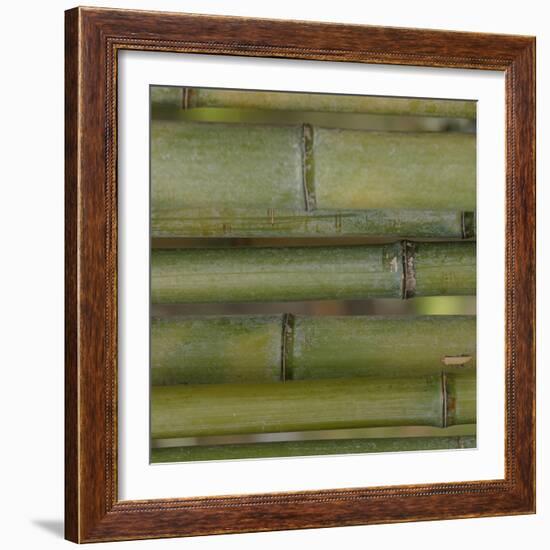 Nature's Textures V-Vision Studio-Framed Art Print