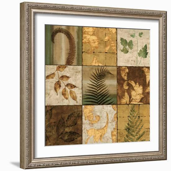 Nature^s Touch II-Chris Donovan-Framed Art Print