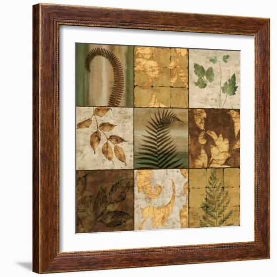 Nature^s Touch II-Chris Donovan-Framed Art Print